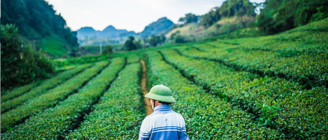 Explore a green Vietnam